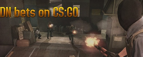 DN-Gaming ставят на CS:GO